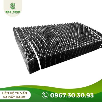 Bầu Ươm V6, V7 Hà Nội Hỗ Trợ Vận Chuyển Toàn Quốc