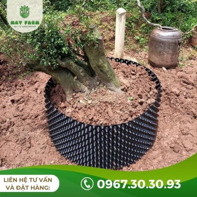 Bầu Ươm V7 Chất Lượng, Đủ Loại, Cuộn (50 mét)