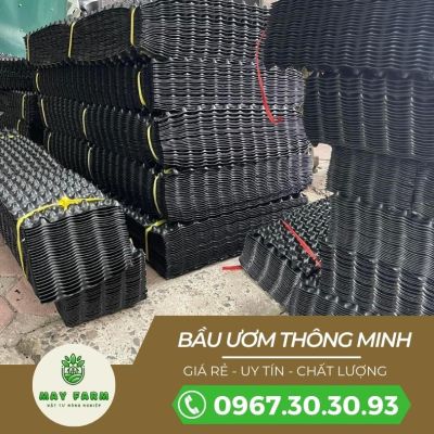 Bầu Ươm V6 Chất Lượng, Đủ Loại, Cuộn (50 mét)