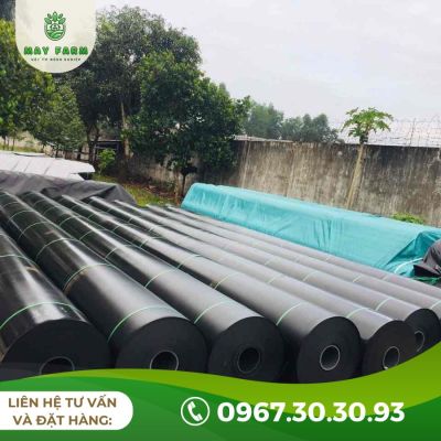 Bạt HDPE Lót Ao Hồ, Công Trình, Giá Rẻ, Chất Lượng Cao