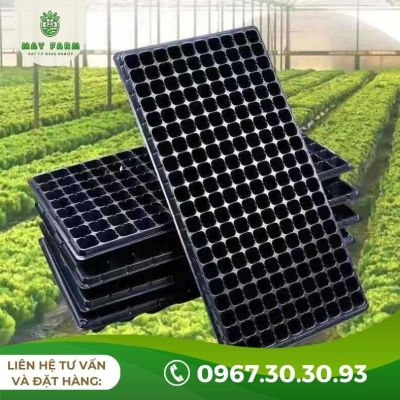 Khay Ươm Hạt Giống 200 Lỗ Hàng Tốt, Dùng Bền