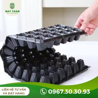 Khay Ươm Hạt Giống 200 Lỗ Hàng Tốt, Dùng Bền